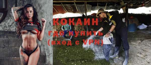мяу мяу мука Аркадак
